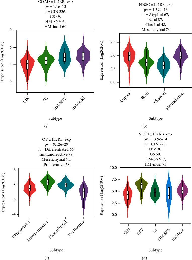PMC9076360 – fig15