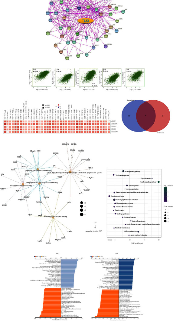 PMC9705091 – fig11