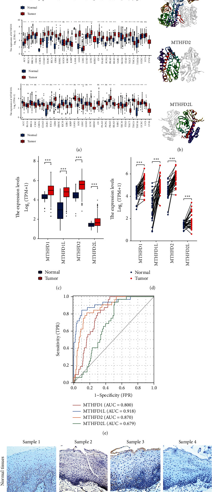 PMC9187492 – fig2