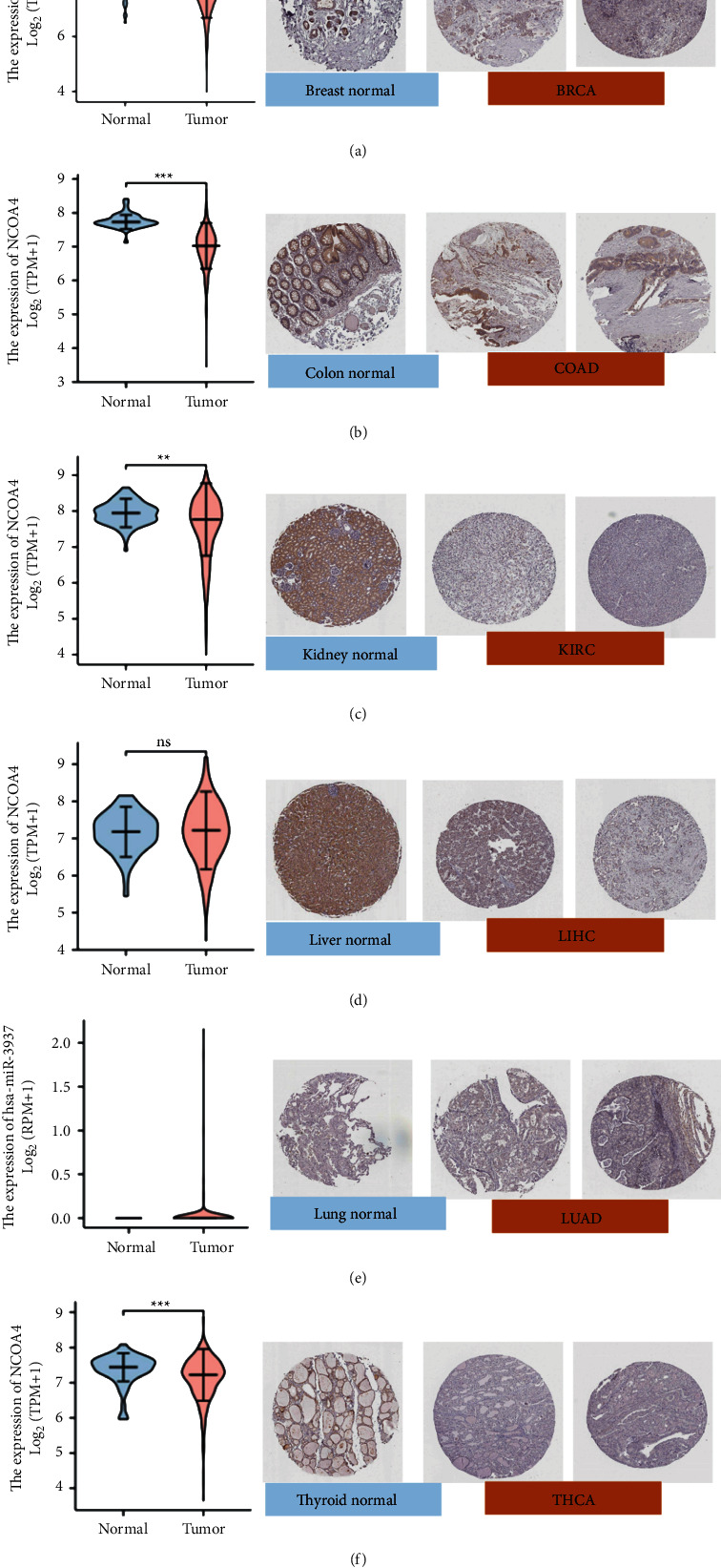 PMC9225891 – fig2