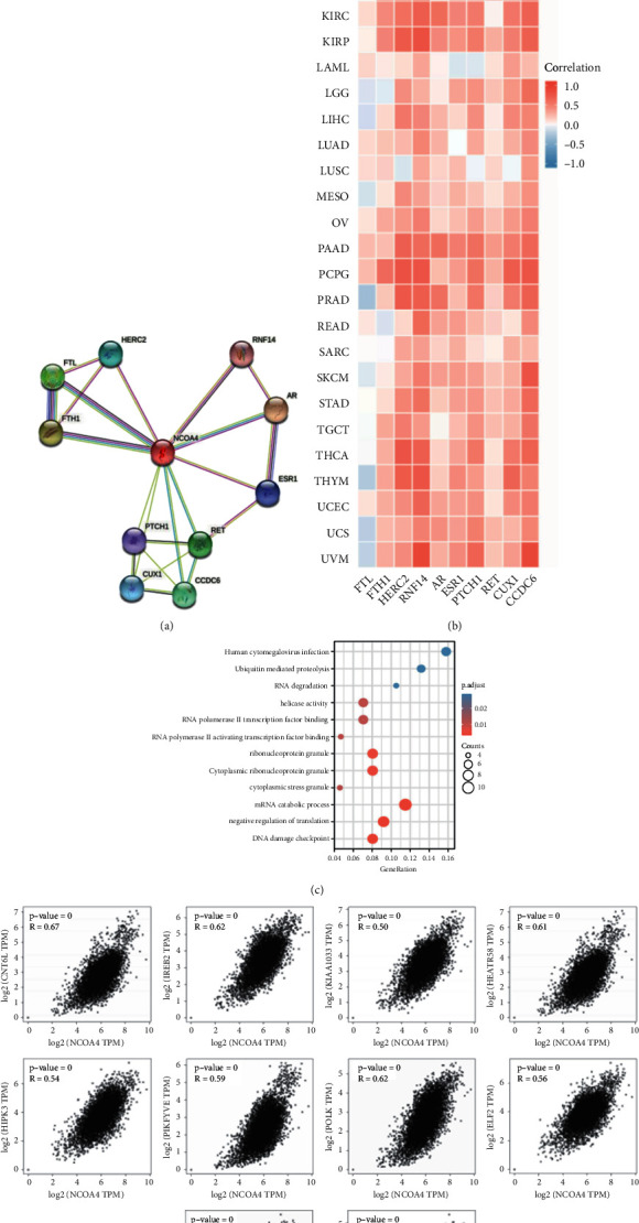 PMC9225891 – fig10