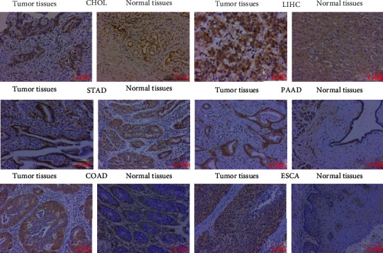 PMC9152430 – fig15