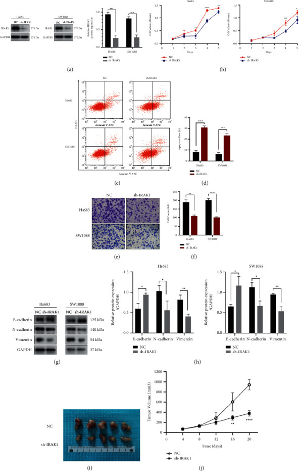 PMC8863493 – fig10
