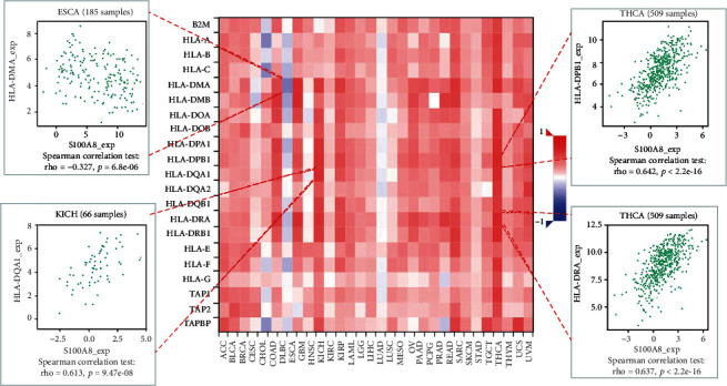 PMC9132702 – fig9