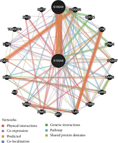 PMC9132702 – fig11
