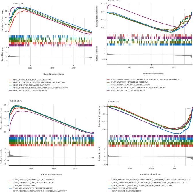 PMC9132702 – fig12