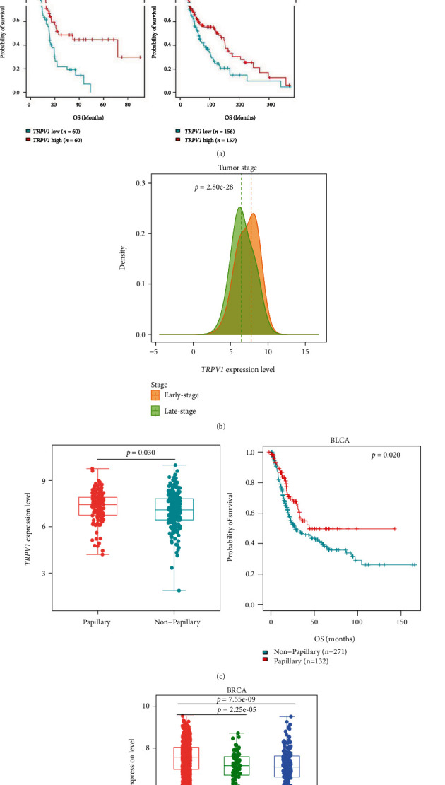 PMC9596243 – fig2