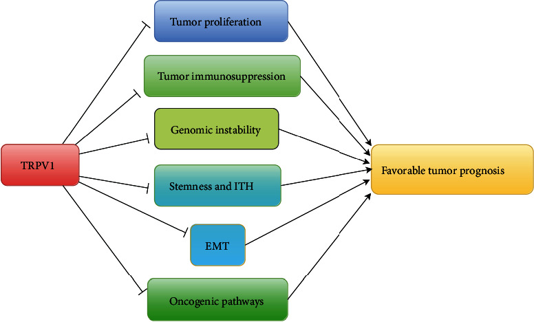 PMC9596243 – fig6
