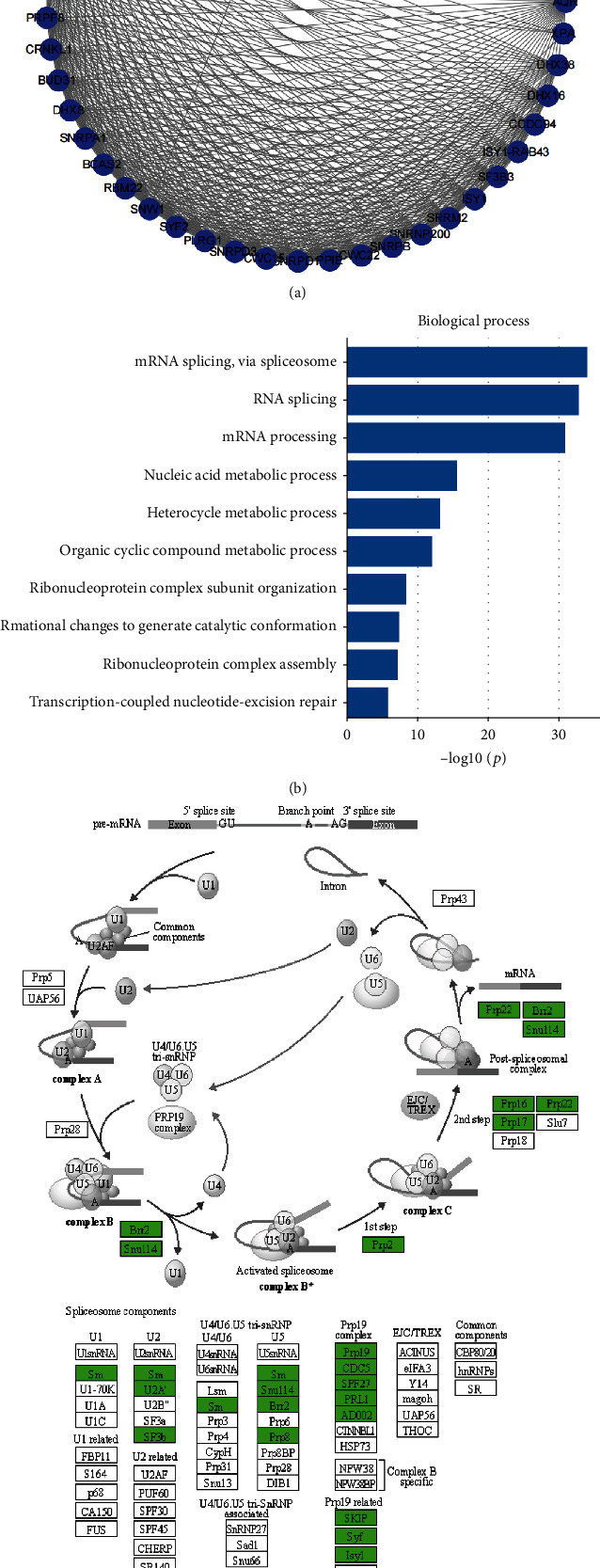 PMC8993555 – fig4