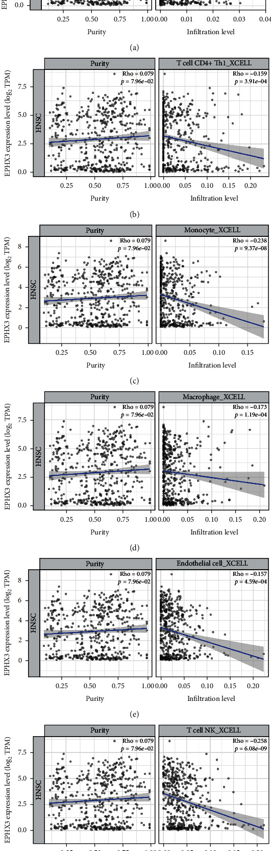 PMC8993555 – fig6