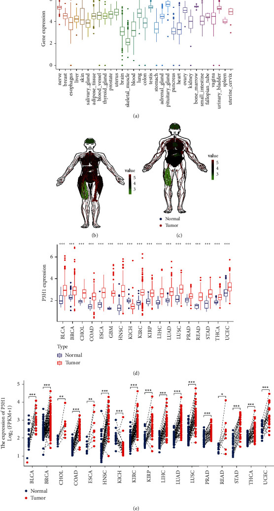 PMC9629929 – fig2