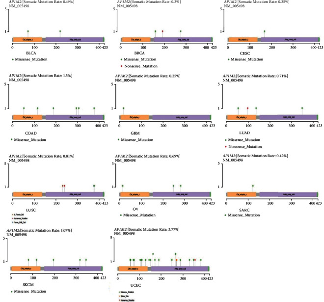 PMC8829438 – fig11