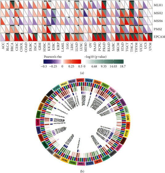 PMC8829438 – fig12