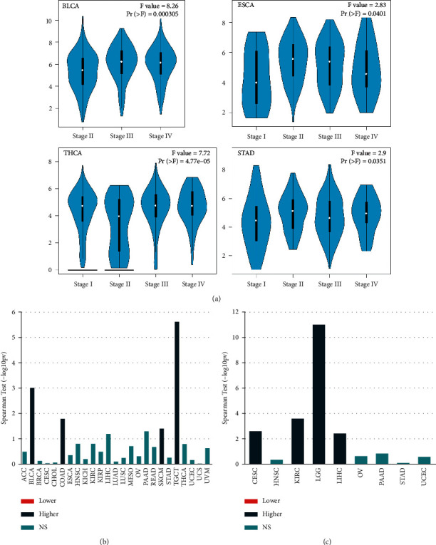 PMC8863482 – fig3