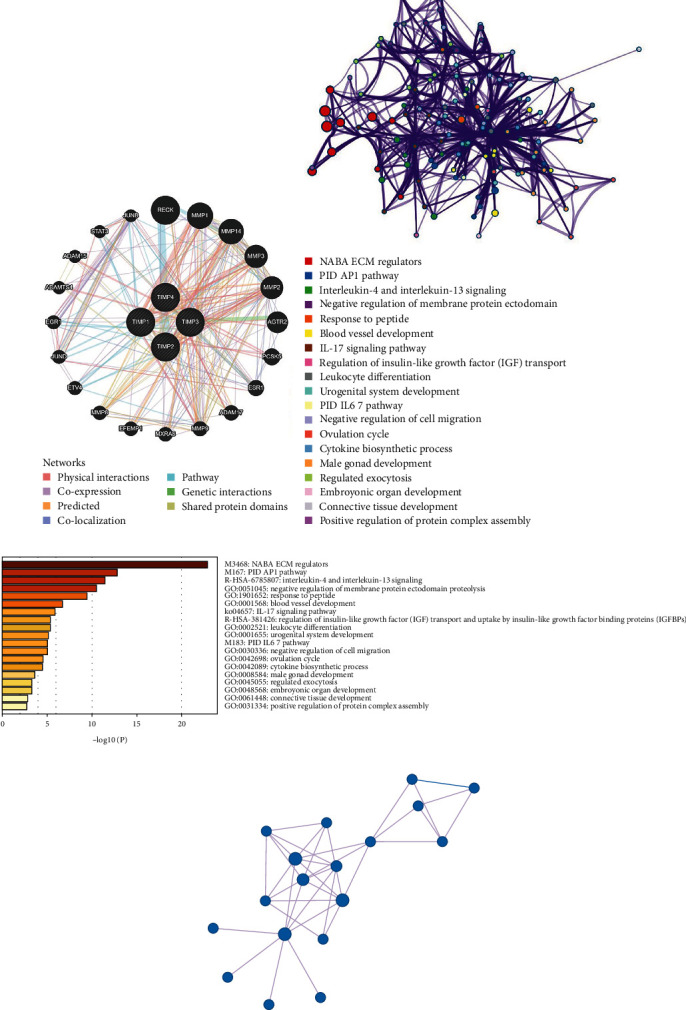 PMC9596242 – fig6