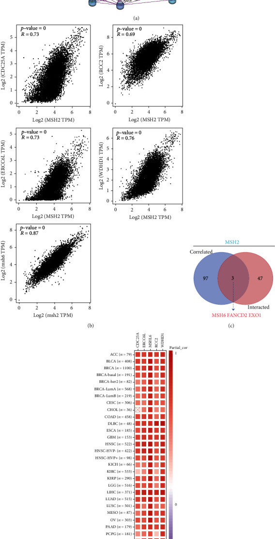 PMC8970884 – fig9