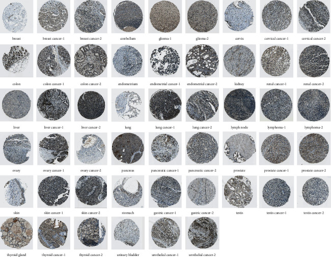 PMC10162871 – fig2