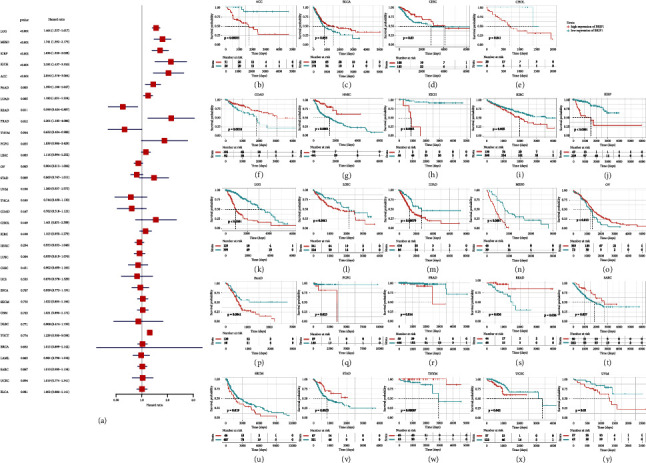 PMC10162871 – fig3