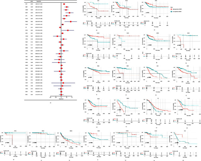 PMC10162871 – fig4