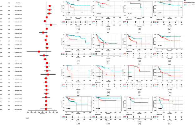 PMC10162871 – fig5