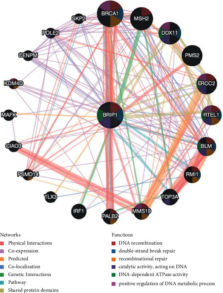 PMC10162871 – fig8