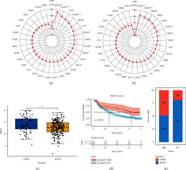 PMC10162871 – fig13