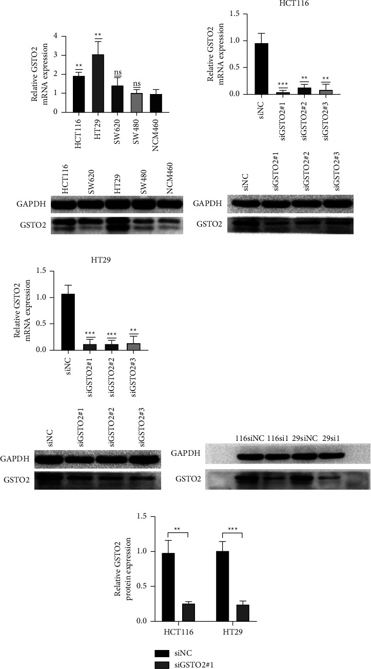 PMC9848813 – fig11