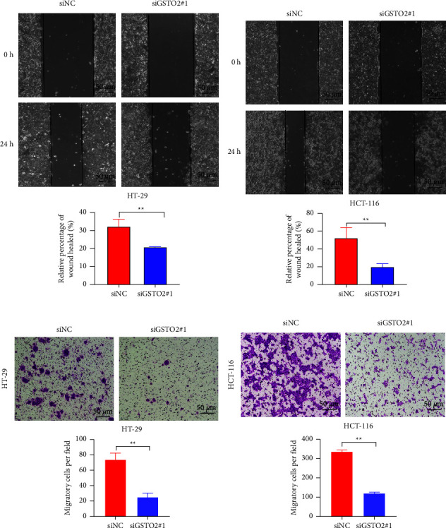 PMC9848813 – fig13