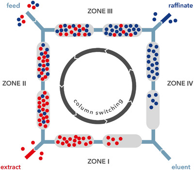 PMC12096815 – jssc70175-fig-0001