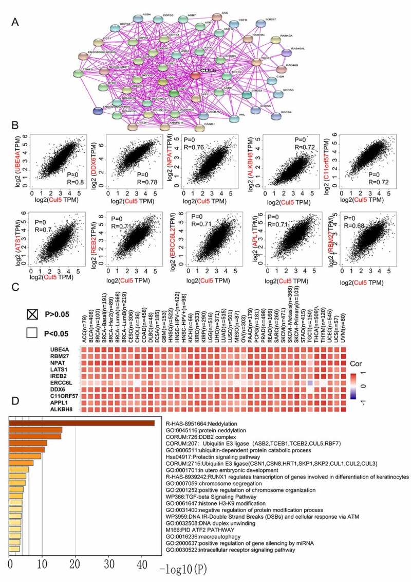 PMC8806887 – f0006
