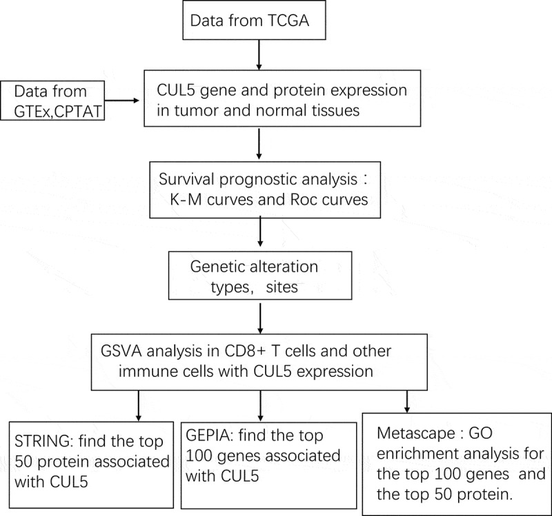 PMC8806887 – uf0001