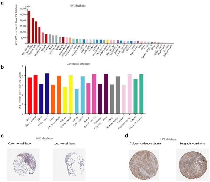 PMC8806805 – f0001