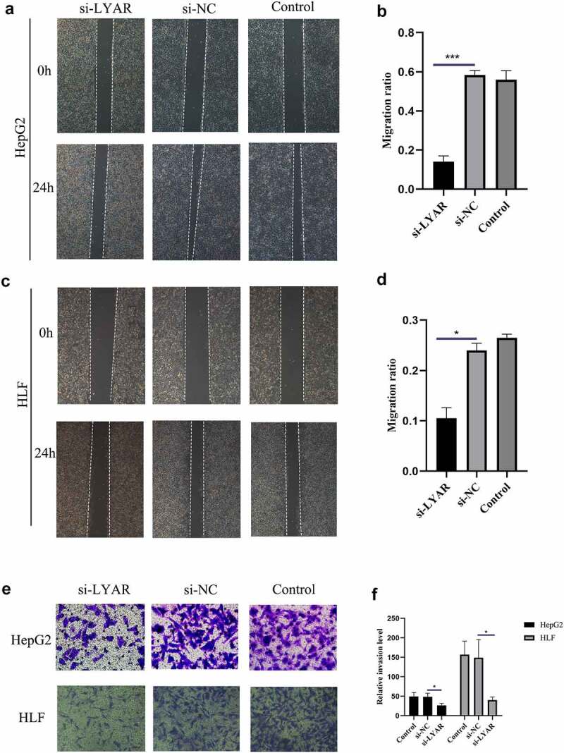 PMC8809990 – f0006