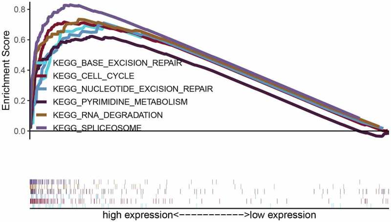 PMC8809990 – f0009