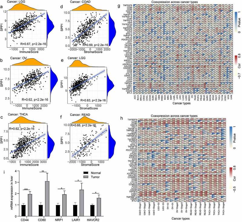 PMC8973783 – f0004