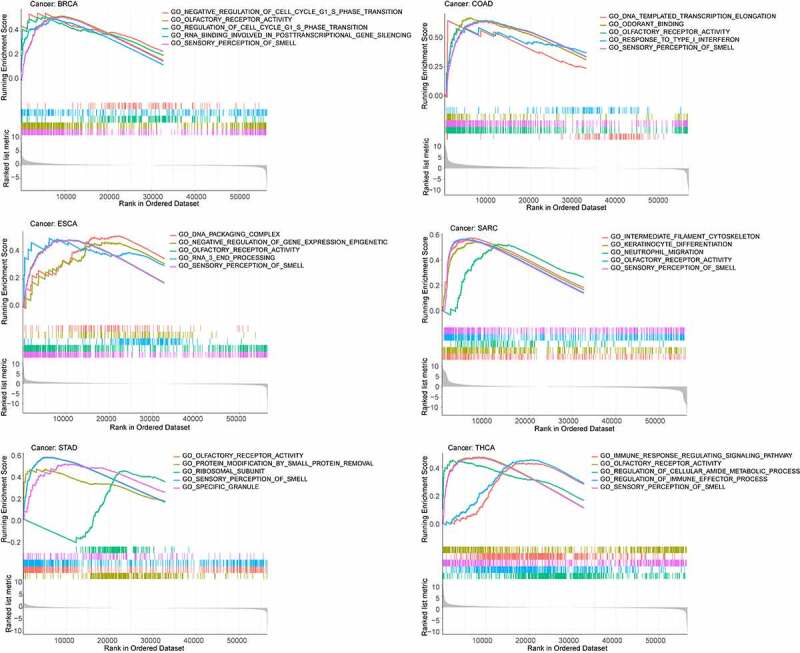 PMC8973783 – f0007