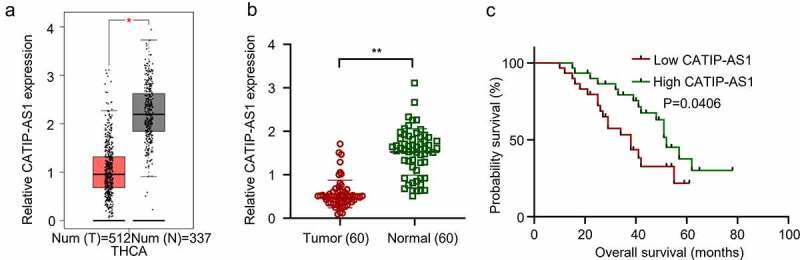 PMC8973971 – f0001