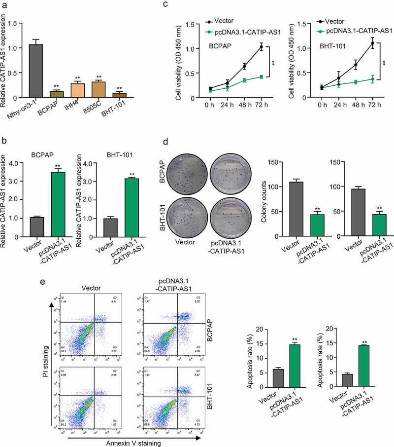 PMC8973971 – f0002