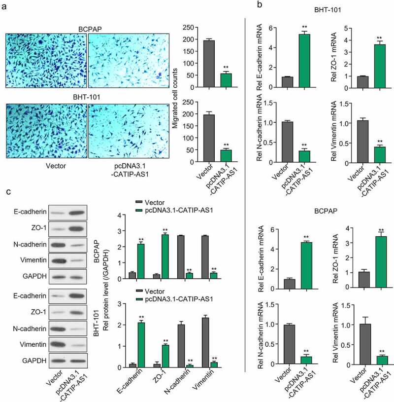 PMC8973971 – f0003