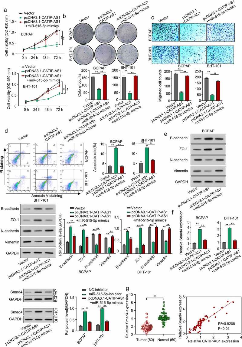 PMC8973971 – f0006