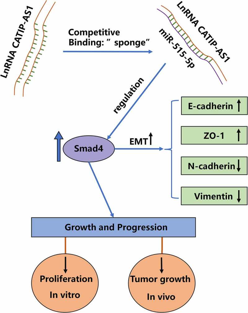 PMC8973971 – uf0001