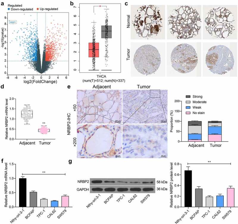 PMC9278442 – f0001