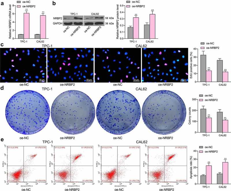 PMC9278442 – f0002
