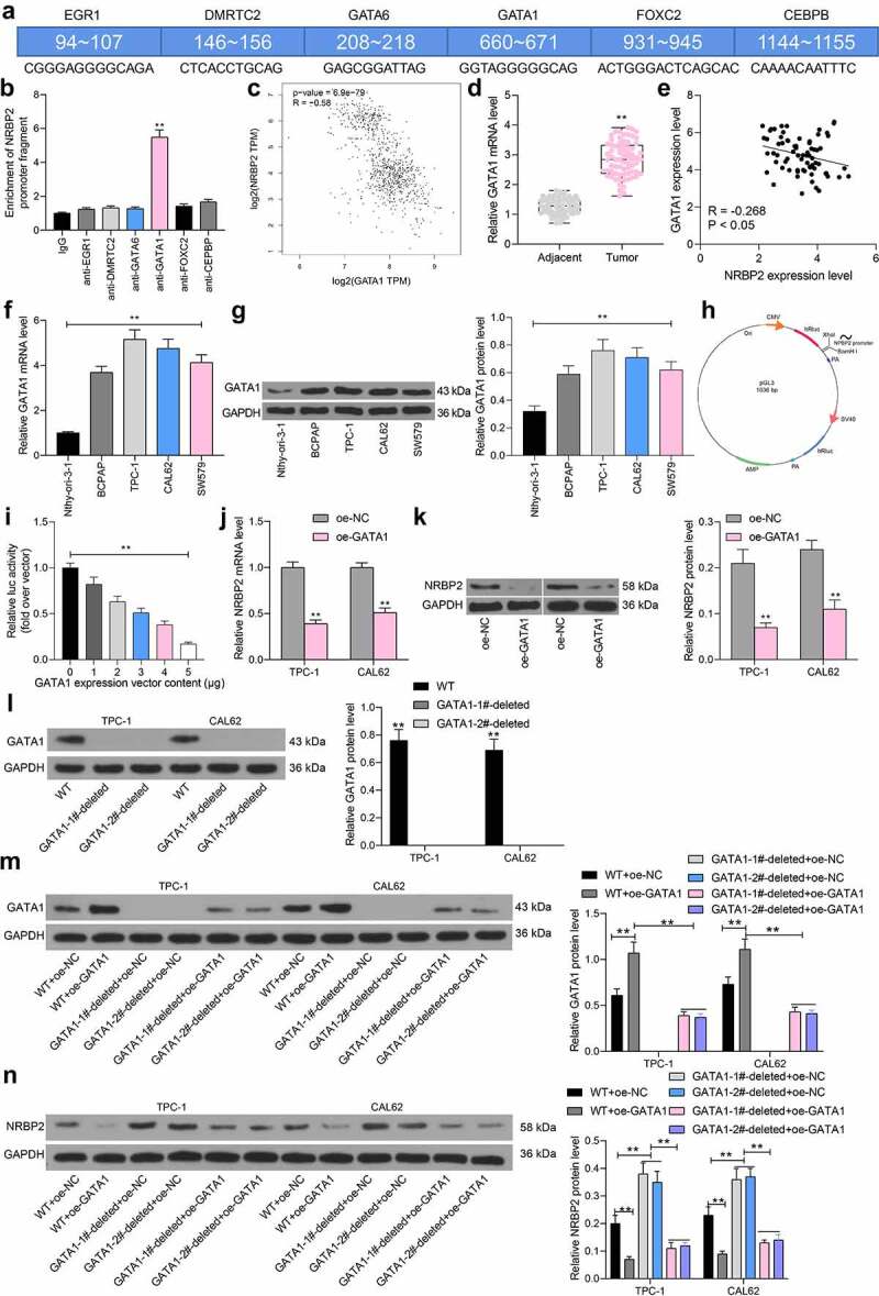 PMC9278442 – f0005