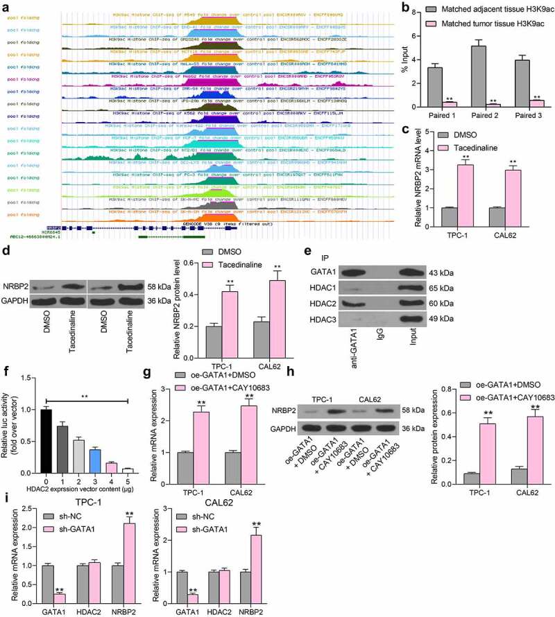PMC9278442 – f0006
