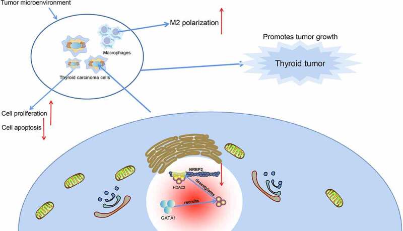 PMC9278442 – f0008