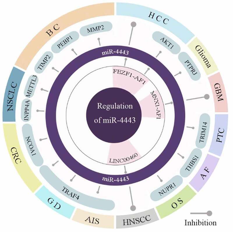 PMC9578485 – f0002
