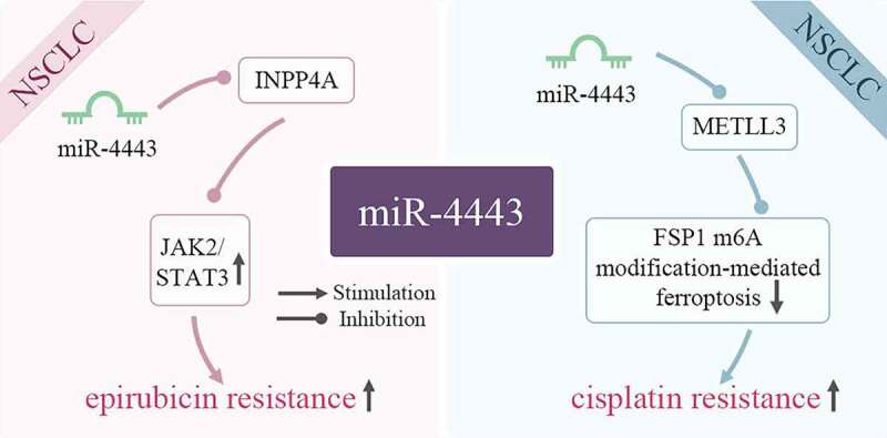 PMC9578485 – f0004
