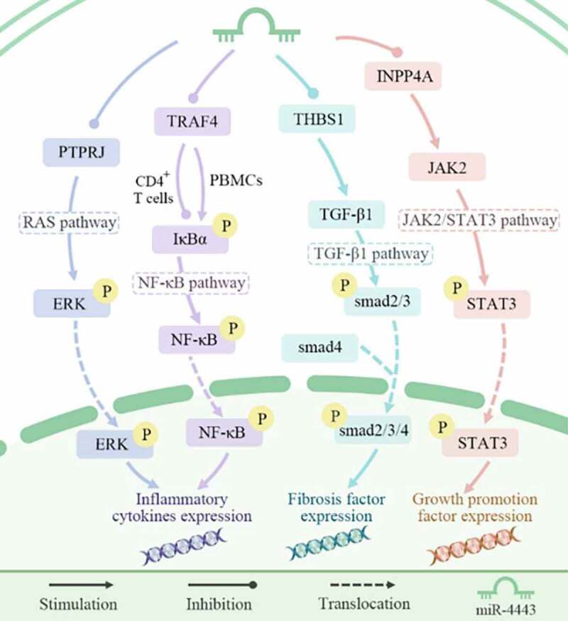 PMC9578485 – f0005