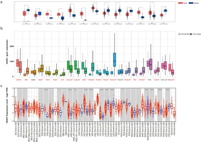 PMC10783835 – f0001